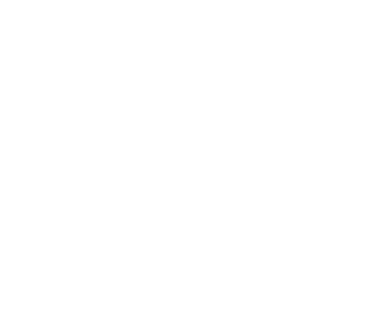 The Jacaranda