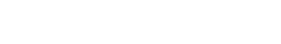 DISCOPUSSY